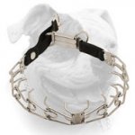(image for) Stainless steel American Bulldog pinch prong collar with click lock buckle and nylon loop
