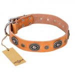 (image for) "Twinkle Twinkle" FDT Artisan Incredible Studded Tan Leather American Bulldog Collar