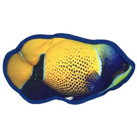 (image for) 10" Tropical Damselfish