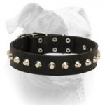 (image for) Comfy elegant leather American Bulldog collar with cones