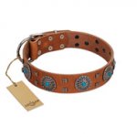 (image for) "Blue Sands" FDT Artisan Tan Leather American Bulldog Collar with Silver-like Studs and Round Conchos with Stones
