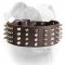 (image for) Leather American Bulldog Collar with Studs and Spikes