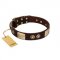 (image for) "Sense of Freedom" FDT Artisan Brown Leather American Bulldog Collar with Old Bronze-Plated Studs and Plates