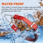 (image for) Biothane Martingale Collar with Metal Buckle_11