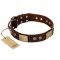 (image for) "Shining Armour" FDT Artisan Brown Leather American Bulldog Collar with Decorations