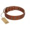 (image for) "Silver Century" Fashionable FDT Artisan Tan Leather American Bulldog Collar with Silver-Like Plates
