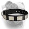 (image for) Gorgeous nylon collar with vintage nickel plates for American Bulldog