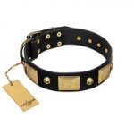 (image for) "Black Corsair" FDT Artisan Leather American Bulldog Collar with Old Bronze-like Skulls and Plates