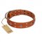(image for) "Tawny Beauty" FDT Artisan Tan Leather American Bulldog Collar Adorned with Stars and Tiny Squares
