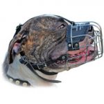 (image for) Wire Pro Lightweight Muzzle For American Bulldog