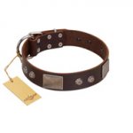 (image for) "Stone Stars" Stylish Handmade FDT Artisan Brown Leather American Bulldog Collar