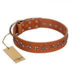 (image for) "Star Trek" FDT Artisan Tan Leather American Bulldog Collar Decorated with Stars