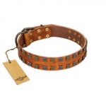 (image for) "Terra-cotta" FDT Artisan Tan Leather American Bulldog Collar with Two Rows of Studs