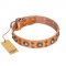 (image for) 'Extra Sparkle' FDT Artisan Handcrafted American Bulldog Tan Leather Dog Collar