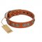 (image for) "Woofy Majesty" FDT Artisan Tan Leather American Bulldog Collar with Round Silver-like Plates