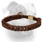 (image for) No ordinary desing braided leather choke American Bulldog collar