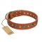 (image for) "Natural Beauty" FDT Artisan Tan Leather American Bulldog Collar with Shining Silver-like Studs