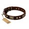 (image for) "Magic Amulet" Brown Leather American Bulldog Collar with Skulls and Plates