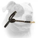 (image for) Studded elegant leather leash for American Bulldog