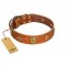 (image for) "Space Warrior" FDT Artisan Tan Leather American Bulldog Collar with Ovals and Stars