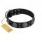 (image for) "Boundless Blue" FDT Artisan Black Leather American Bulldog Collar with Chrome Plated Brooches and Square Studs
