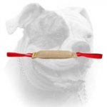 (image for) Dog safe jute bite tug for American Bulldog