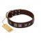 (image for) "Needle Stories" Modern FDT Artisan Brown Leather American Bulldog Collar with Square Engraved Plates and Four-Point Stars