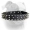 (image for) Awesome stylish spiked leather American Bulldog collar