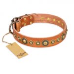 (image for) "Feast of Luxury" FDT Artisan Tan Leather American Bulldog Collar with Old Bronze Look Circles