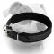(image for) Padded Leather Collar For American Bulldog breed