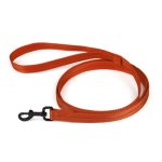 (image for) Nylon Traffic Leash_5