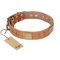 (image for) "The Middle Ages" FDT Artisan Handcrafted Tan Leather American Bulldog Collar