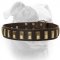 (image for) Luxury style leather American Bulldog collar with brass plates