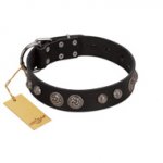 (image for) "Tricky Ricky" FDT Artisan Black Leather American Bulldog Collar Adorned with Silver-Like Conchos
