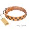 (image for) "Precious Sparkle" Exclusive Style FDT Artisan Tan Leather American Bulldog Collar