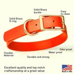 (image for) Viper Biothane Collar with Brass Hardware_11