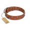 (image for) "Waltz of the Flowers" Handmade FDT Artisan Tan Leather American Bulldog Collar with Chrome-plated Engraved Studs