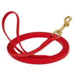 (image for) Biothane Leash 10 ft w/ Brass Hardware_3