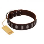 (image for) "Spiky Way" FDT Artisan Brown Leather American Bulldog Collar with Silver-Like Decorations
