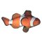 (image for) 10" Tropical Clownfish