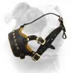 (image for) Lovely Studded Muzzle For American Bulldog