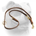 (image for) Genuine quality leather leash for training and walking American Bulldog