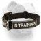 (image for) American Bulldog Identity Collar - Nylon Collar With Patches