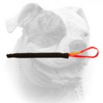 (image for) American Bulldog Puppy Training Pocket Toy with Handle