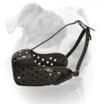 (image for) Practical Leather Training Dog Muzzle for American Bulldog