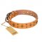(image for) 'Top-Flight' FDT Artisan Adorned Tan Leather American Bulldog Collar