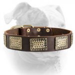 (image for) Luxury Leather Dog Collar for American Bulldog