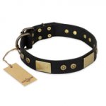 (image for) "Spanish night" FDT Artisan Fashionable Leather Walking American Bulldog Collar