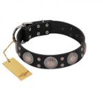 (image for) "Starry Sky" Trendy FDT Artisan Black Leather American Bulldog Collar with Large Brooches