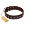(image for) "Starry-Eyed" Best Quality FDT Artisan Brown Designer Leather American Bulldog Collar with Small Plates